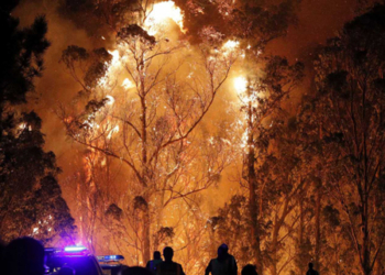 España recibirá 3,2 millones de fondos europeos por los incendios en Galicia