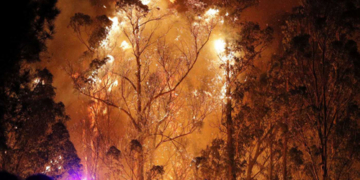 España recibirá 3,2 millones de fondos europeos por los incendios en Galicia