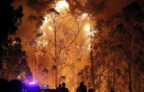 España recibirá 3,2 millones de fondos europeos por los incendios en Galicia