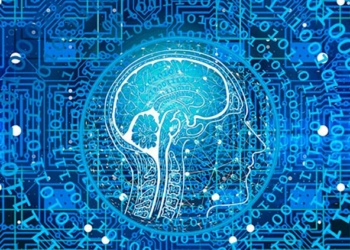 Computación neuromórfica: Simulando el cerebro humano