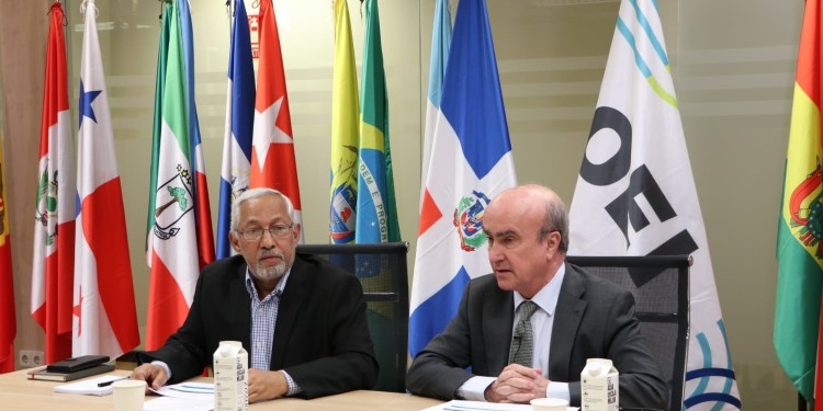 El Consejo Directivo de la OEI aprueba la hoja de ruta para los próximos dos años