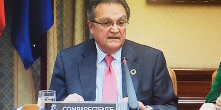 El presupuesto para desarrollo en 2019 sigue lejos del 0,4% establecido por el Congreso