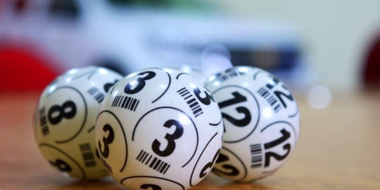 BINGO, un acrónimo que todo amante de la política y la cooperación internacional debería conocer