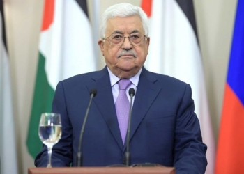 España y otros 14 países piden a la UE que reanude las ayudas financieras a Palestina