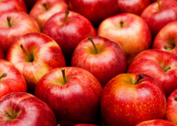 La manzana polaca rompe récords este año en el mercado español