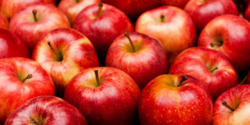 La manzana polaca rompe récords este año en el mercado español