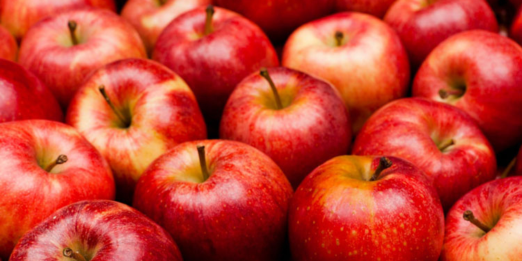 La manzana polaca rompe récords este año en el mercado español