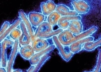 Exteriores alerta del riesgo de viajar a Guinea Ecuatorial por el virus de Marburgo