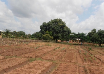AECID adjudica por 425.000 euros un programa agro-pastoral en Mauritania