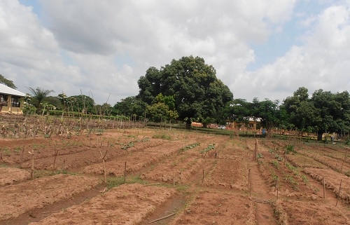 AECID adjudica por 425.000 euros un programa agro-pastoral en Mauritania
