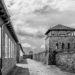 El Gobierno instaura el 5 de mayo como día de los españoles de Mauthausen
