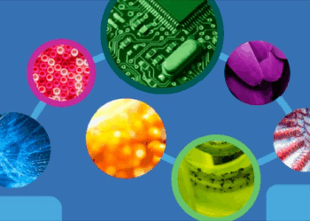 Elcano coordinará un proyecto europeo sobre radicalización y violencia