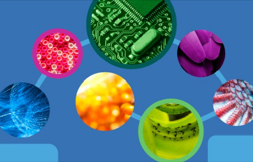 Elcano coordinará un proyecto europeo sobre radicalización y violencia