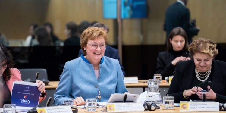 La misión de la UE pide más transparencia al Gobierno “sobre los destinatarios de los fondos”