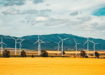 Los sectores con mayor crecimiento en España en 2023: Un panorama prometedor