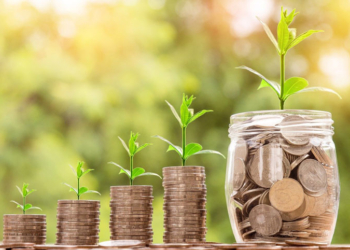 El negocio más rentable de la actualidad