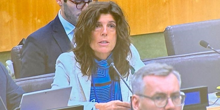 España reitera ante la ONU su apoyo a la solución de dos Estados en Oriente Próximo