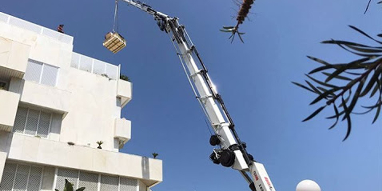 ¿Dónde comprar semillas a granel online?