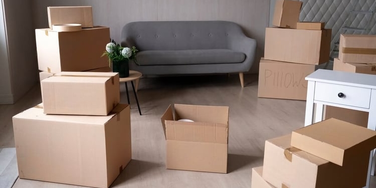 Mudanzas Internacionales con Flippers: Todo lo que debes saber