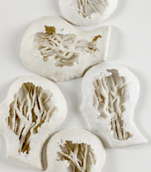 ‘Vínculos abiertos. Cuatro artistas hispano-marroquíes’ en Casa Árabe