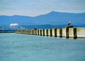 Central Nuclear de Almaraz (Cáceres)/ Foto: Endesa