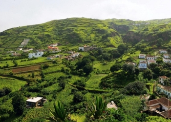La OMT reúne a inversores y líderes turísticos para abordar la recuperación tras la pandemia