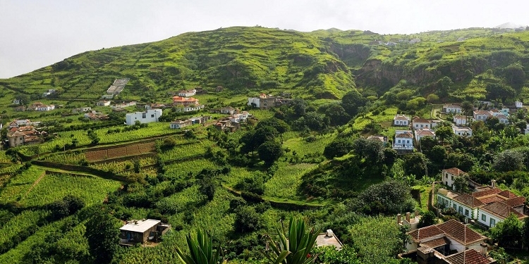 La OMT reúne a inversores y líderes turísticos para abordar la recuperación tras la pandemia