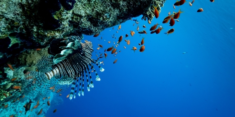 La OMT impulsa en la COP27 planes para alcanzar el ‘cero neto’ en el turismo