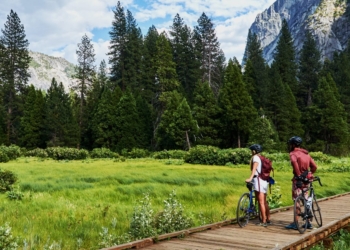 La Declaración se presentará oficialmente en la Conferencia sobre Cambio Climático (COP26) en noviembre./ Foto: OMT