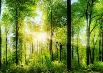 Los ministros de Turismo del G20 destacaron la necesidad de transformar las operaciones turísticas para la acción por el clima./ Foto: OMT