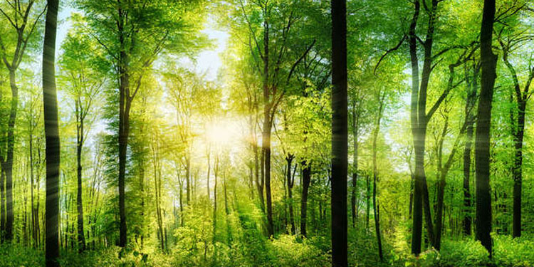 Los ministros de Turismo del G20 destacaron la necesidad de transformar las operaciones turísticas para la acción por el clima./ Foto: OMT