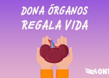 España se mantiene como primer donante mundial de órganos pese al coronavirus