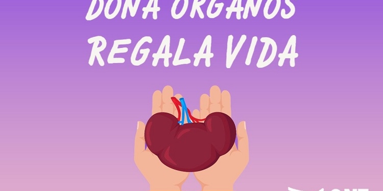 España se mantiene como primer donante mundial de órganos pese al coronavirus