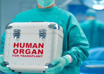 España ratifica el Convenio europeo contra el tráfico de órganos humanos