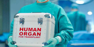 España ratifica el Convenio europeo contra el tráfico de órganos humanos