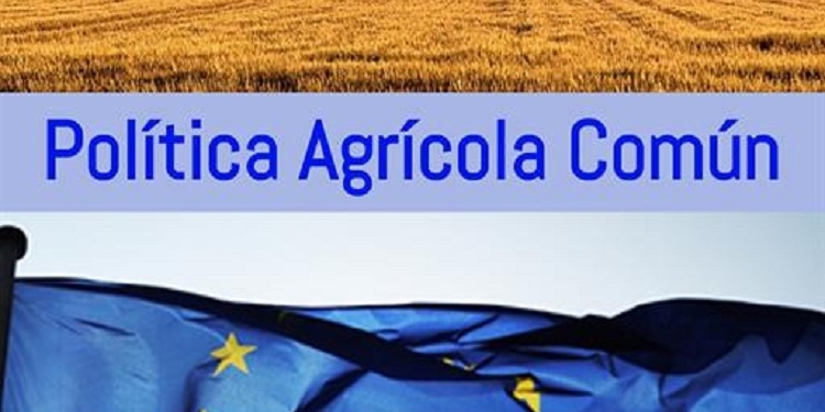 Planas pide en Bruselas que se alcance un acuerdo sobre la PAC en otoño