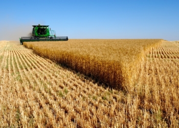 Bruselas aprueba los planes estratégicos para la PAC de siete países, incluido España