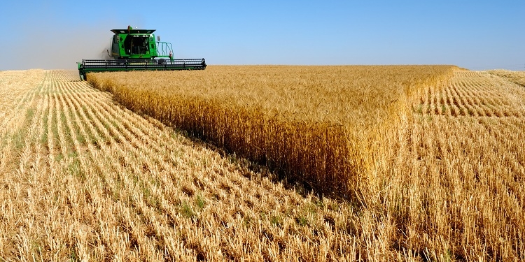 Bruselas aprueba los planes estratégicos para la PAC de siete países, incluido España