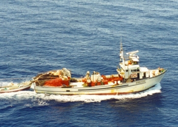 La Eurocámara aprueba el nuevo acuerdo de pesca con Marruecos, que incluye al Sáhara