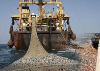 El acuerdo de pesca UE-Marruecos es válido pero no incluye el Sáhara