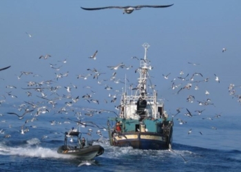 Expira el protocolo de pesca UE-Marruecos a la espera del fallo del TJUE sobre su validez en Sáhara