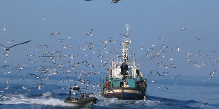 Expira el protocolo de pesca UE-Marruecos a la espera del fallo del TJUE sobre su validez en Sáhara
