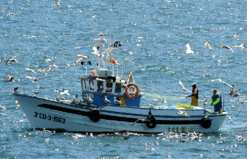 El Gobierno renueva el acuerdo bilateral pesquero en aguas españolas y portuguesas