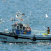 El Gobierno renueva el acuerdo bilateral pesquero en aguas españolas y portuguesas