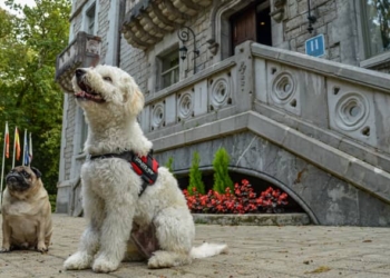 Paradores Pet Friendly