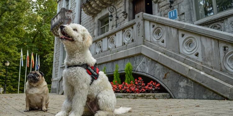 Paradores Pet Friendly