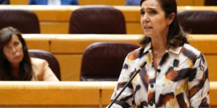 PP advierte a Albares en el Senado de que “soplan vientos de cambio a su alrededor”