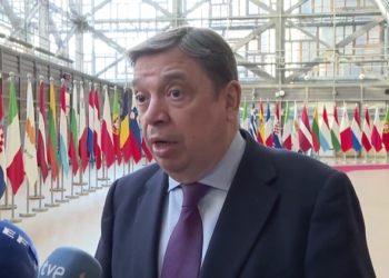 España pide a Bruselas que lleve de nuevo a EEUU ante la OMC por los aranceles a la aceituna