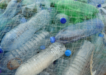 Una empresa española retirará 100.000 toneladas de plásticos en aguas de Chile