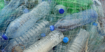 Una empresa española retirará 100.000 toneladas de plásticos en aguas de Chile